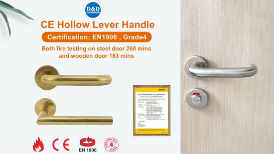 Stainless Steel Casting Door Handle Solid Flat Lever Sf120